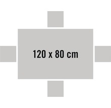 Tafelblad met de afmetingen 120 x 80 cm