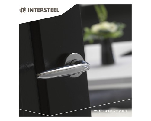 Intersteel Logo. Deur met Intersteel deurgreep.