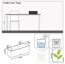 Afbeelding van een CUBE Color Triple plantenbak met afmetingen en instructies voor beplanting