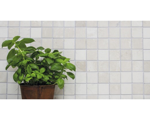 Basilicumplant in een pot voor een betegelde wand