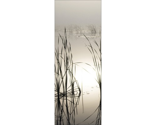 Rietgras in water