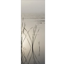 Rietgras in het water met een mistige achtergrond