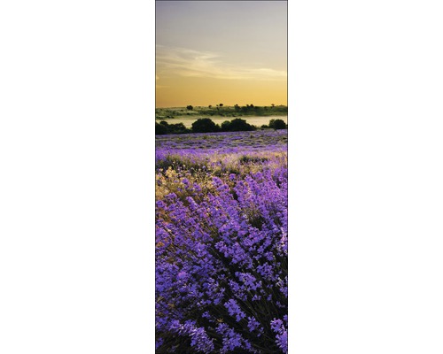 Lavendelveld landschap bij zonsondergang