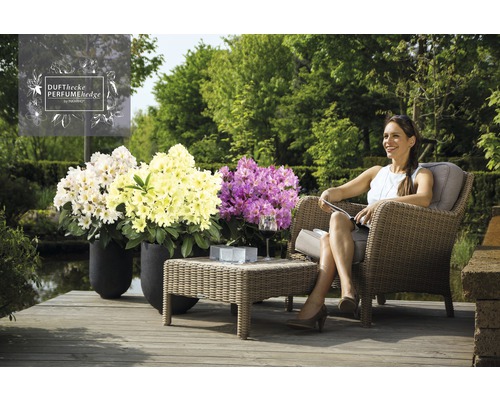 Vrouw ontspant in de tuin met geurhagen in plantenbakken op het terras