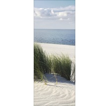 Duingras op het strand met uitzicht op zee
