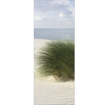 Duingras op het strand met uitzicht op zee