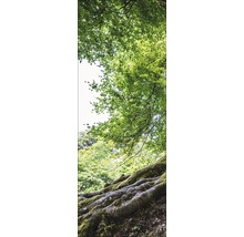 Scène met boomwortels en bladerdak in het bos