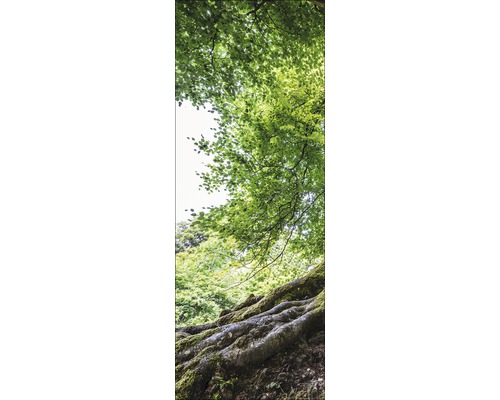 Scène met boomwortels en bladerdak in het bos