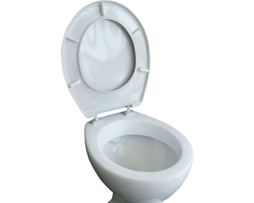 Keramisch toilet met open deksel