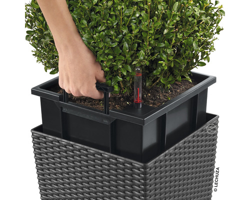 Detail van een plant in een plantenbak met irrigatiesysteem die door een hand wordt verplaatst