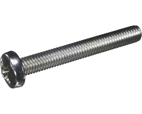 Een enkele metalen schroef met kruiskop