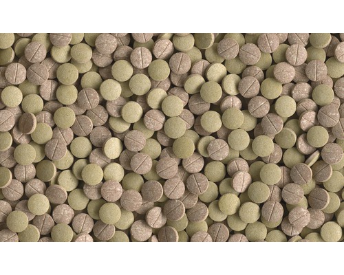 Veel vijvervisvoedingstabletten