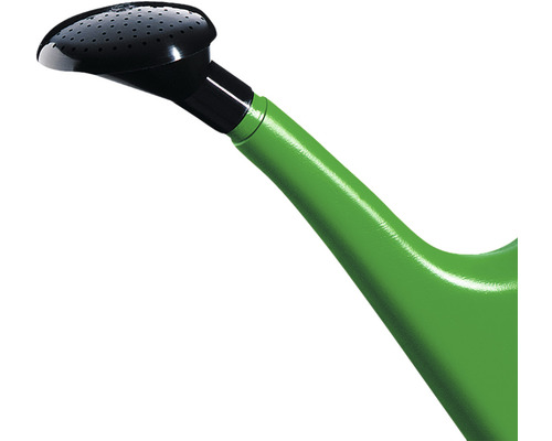 Gieterkop van een groene gieter