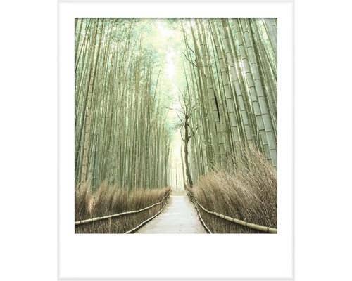Ingelijste afbeelding van een pad door een bamboebos