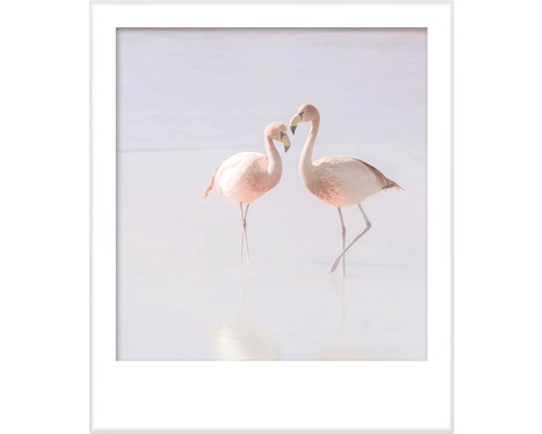 Ingelijste afbeelding van twee flamingo''s