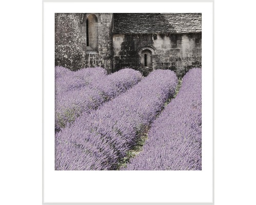 Ingelijste foto van een lavendelveld voor een stenen gebouw