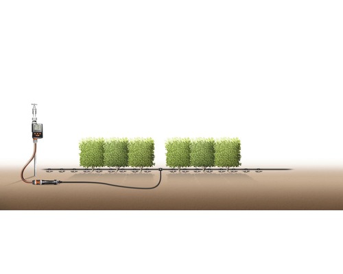 Tuinbewateringssysteem met timer voor heggen