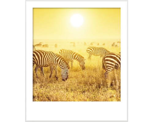 Ingelijste afbeelding met zebra''s op de savanne