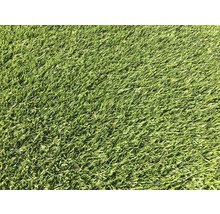 Graszoden Natuur siergras grasmat 173 x 58 cm. Bestellen per hele rol = 1 m² (minimale besteleenheid is 30 m²)-thumb-2
