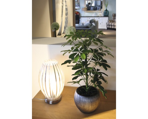 Decoratieve opstelling met kamerplant in pot en tafellamp