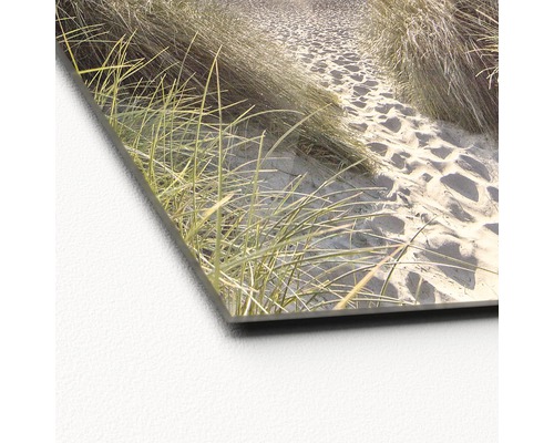 Acrylglasfoto met strandmotief, duinlandschap