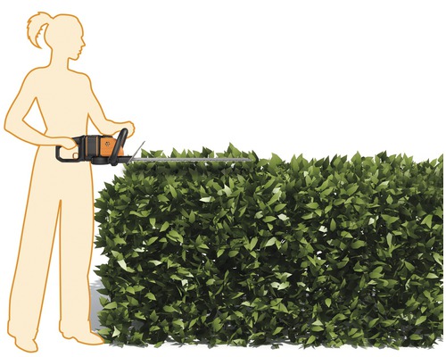 Een vrouw snoeit een haag met een heggenschaar.