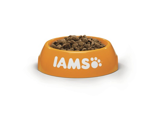Voerbak met droogvoer voor honden en IAMS-logo