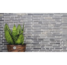 Decoratief metselwerk met kamerplant in gevlochten pot