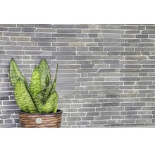 Muur met steenstrips en potplant