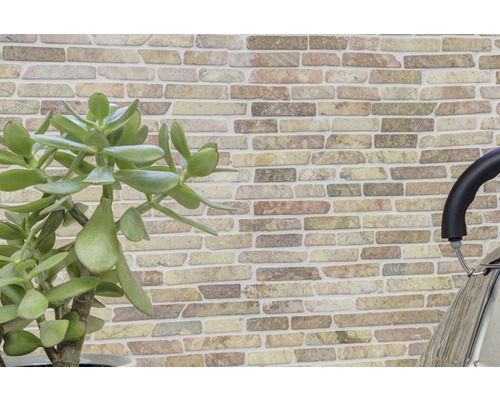 Wanddecoratie met steenmotief en kamerplant