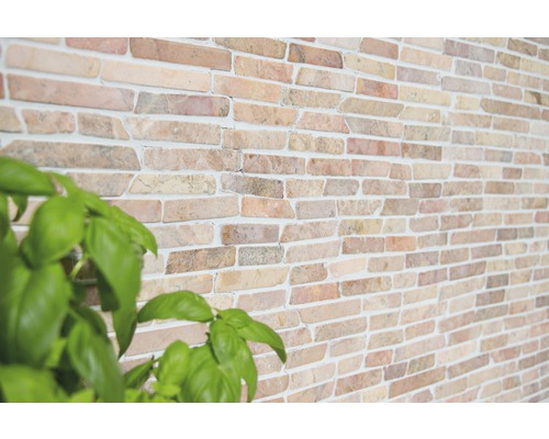 Wanddecoratie met steenstrips en basilicum