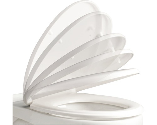 Toiletbril met softclose systeem