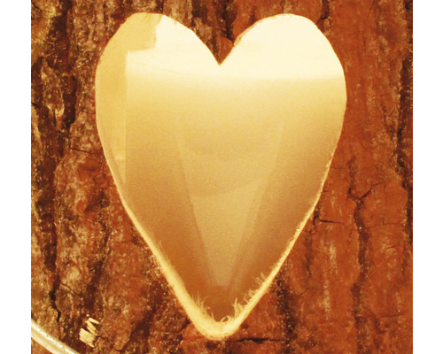 Hartvorm gesneden in boomschors