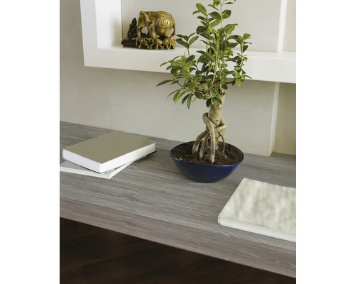 Scene met een bonsai boom in een kom, boeken en een olifantenbeeldje op een plank