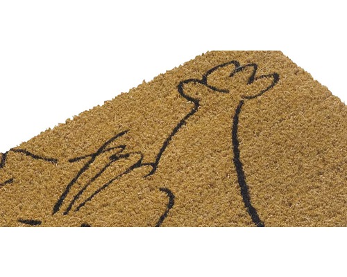 Kokosvezel deurmat met patroon