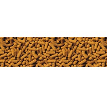 Visvoer pellets