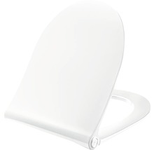 Toiletdeksel van kunststof