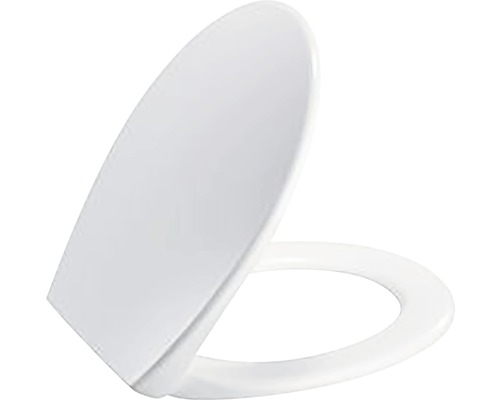 Toiletdeksel van kunststof