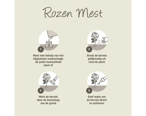 Instructie voor het aanbrengen van rozenmest in vier stappen