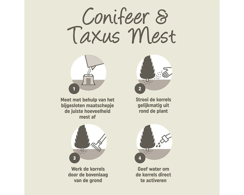 Instructies voor het aanbrengen van coniferen en taxus mest in vier stappen.