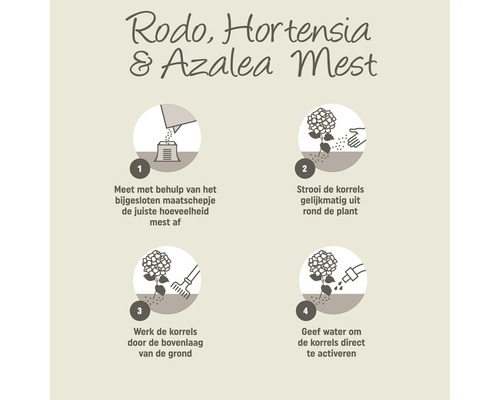 Instructies voor het gebruik van rododendron-, hortensia- en azaleamest