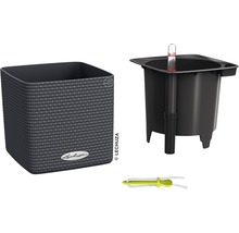Lechuza Cube plantenbak met irrigatiesysteem