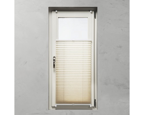 Raam met plisségordijn voor lichtregulering en privacy