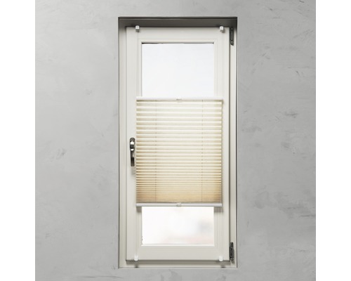 Raam met plisségordijn voor schaduw en privacy