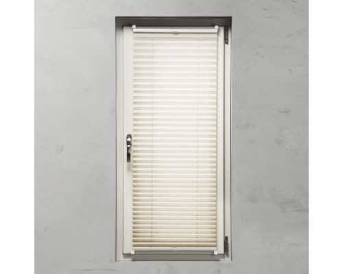 Raam met plisségordijn voor privacy