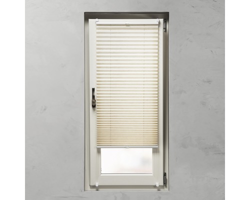 Raam met plisségordijn voor lichtregulering