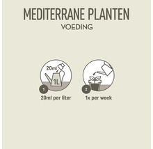 Gebruiksaanwijzing voor mediterrane plantenvoeding: 20 ml per liter, eenmaal per week.