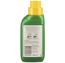 POKON Cactus & vetplant voeding 250 ml