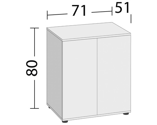 Kast met twee deuren en de afmetingen 80, 71 en 51 centimeter
