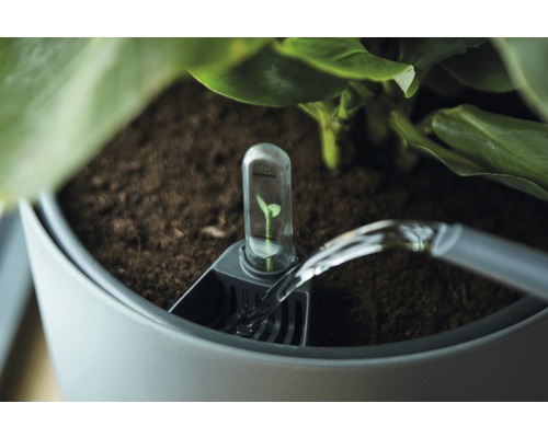 Watergeefsysteem voor plantenbakken met waterniveau-indicator